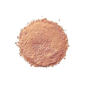 Poudre de Papayes Lyophilisées